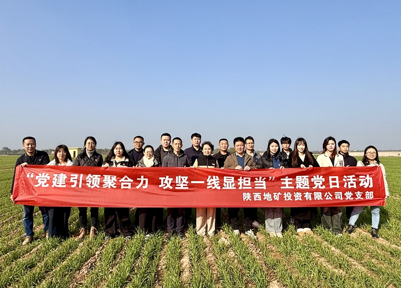 陜西地礦投資黨支部開(kāi)展“黨建引領(lǐng)聚合力 攻堅(jiān)一線(xiàn)顯擔(dān)當(dāng)”主題黨日活動(dòng)